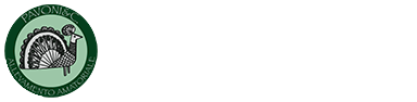 Allevamento Amatoriale Pavoni e Fagiani - Pavoni e C.